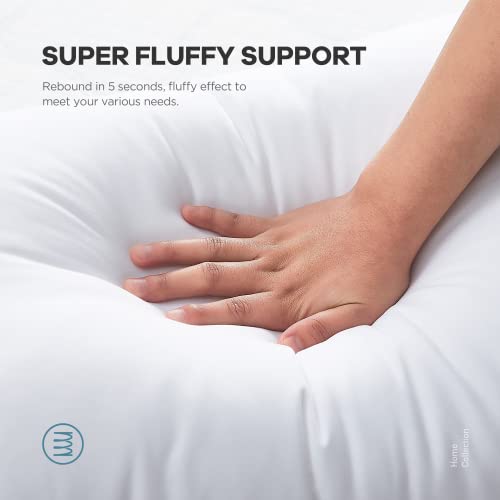 Acanva Throw Pillow Inserts, Euro Sham Form Stuffer With Premium Polyester Micro Fiber, Decorative For Bed, Couch And Sofa, White, 4 Count, (Pack Of 1) #TOP3