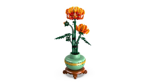 Watch LEGO Icons Chrysanthemum 10368 360 Spin on Amazon Live