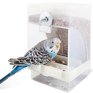 Mangiatoia per Uccelli Trasparente Automatica può Essere Appesa 16 x 10 x 9,5 cm Grande Capacità può Offrire 15 Giorni di Conservazione, Adatto per uccelli come pappagalli, canarini, ecc.