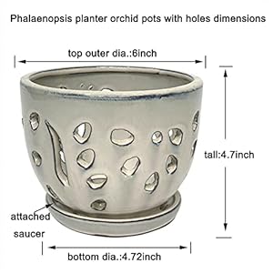 Orchid Pot Round Ceramic Flower Container Succulent Plant Planter Butterfly Pot Saucer Windowsill Contemporary Home Decoration (6 Inch, Cream) Orchid Pot Round Ceramic Flower Container Succulent Plant Planter Butterfly Pot Saucer Windowsill Contemporary Home Decoration 6 Inch Cream
