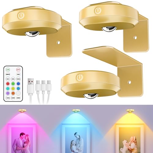 WILLED Bilderleuchte Akku, Bild beleuchtung wand Kabellos, Round USB Aufladbar RGB LED Spots Akku mit Fernbedienung, Wiederaufladbare Bilderlampe, Vitrinenbeleuchtung LED mit Timing Funktion(3er Pack)