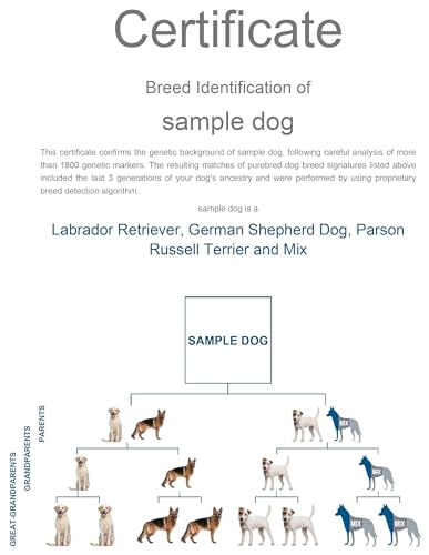 Image of Dog Breed DNA Test Kit | Identifies 430+ Dog Breeds & Types | 174,000 Genetic Markers Analysed | Includes MDR1 Test & Breed Certificate | Home Cheek Swab Collection Kit for 1 Dog