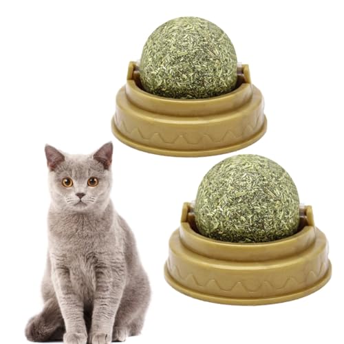SHINEOFI Balones Giratorias para Lamer Gatera para Gatos Pequeños 4 Unidades Juguete Adhesivo para Pared Promotor de Digestión y Cuidado Dental Sabor a Menta Verde