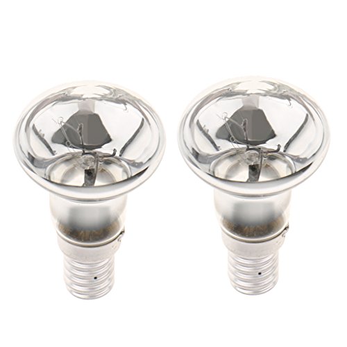 Gazechimp 2 Pcs Bombilla de Filamento de Tungsteno E14 Herramienta Electricidad de Iluminación Accesorios