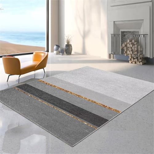 Tapis de salon gris résistant à l'usure pour protéger vos sols