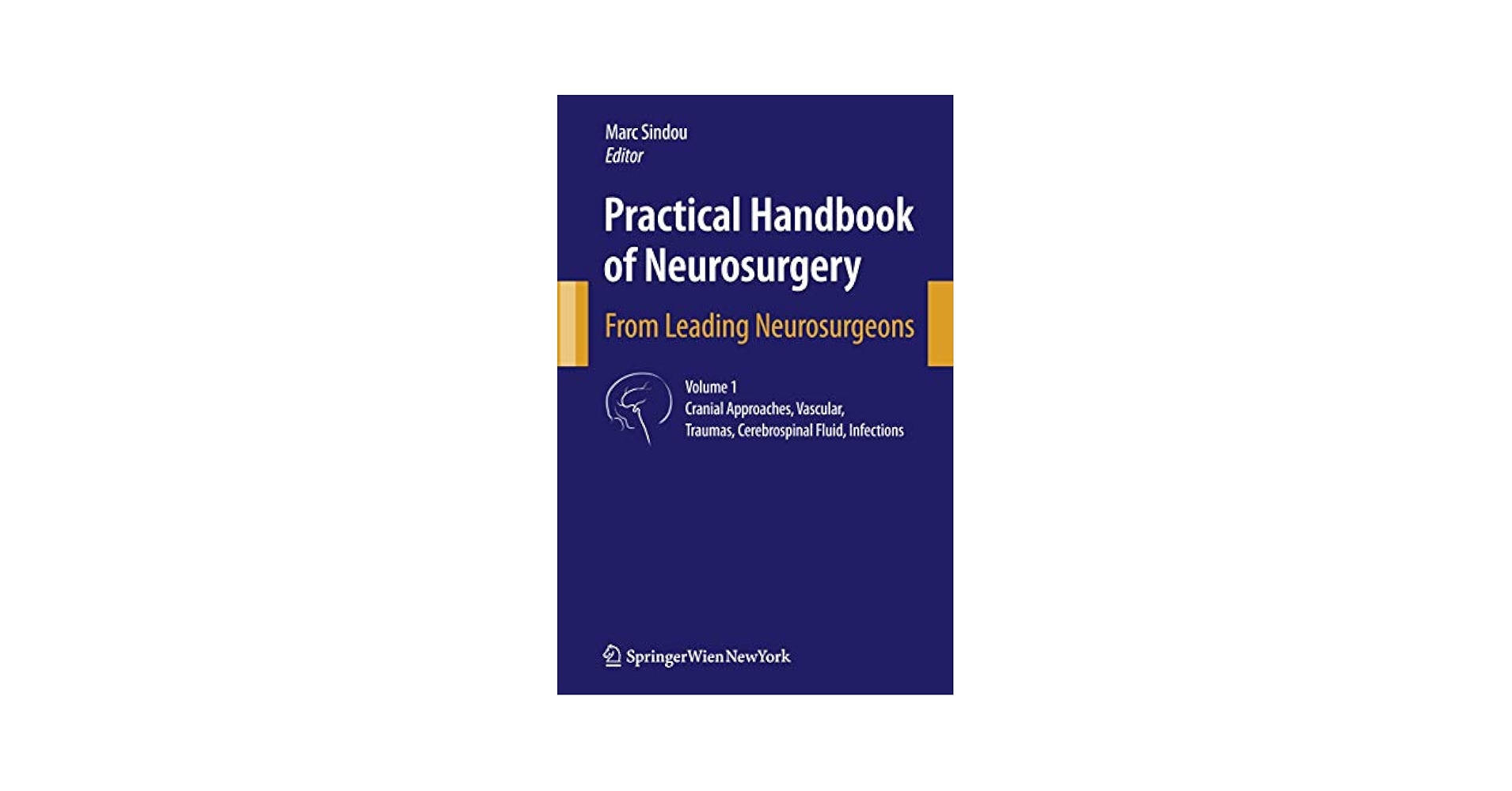 Practical Handbook of Neurosurgery: From Leading