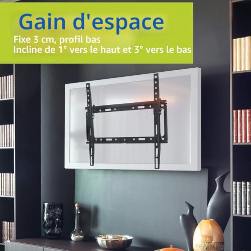 PHILIPS SQM7442 / 00 Support mural - vue 6