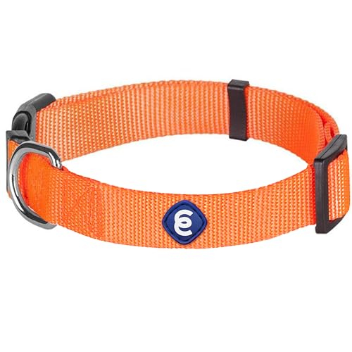 Collier pour chiot solide Blueberry Pet XS en polyester nylon résistant