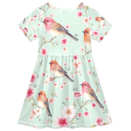 Girls Short Sleeve A Line Dress with Birds Watercolor Print Toddler Summer Clothes, 2T2