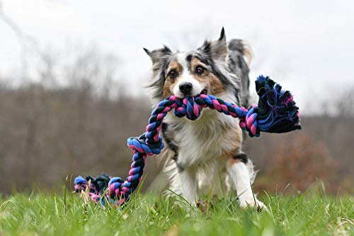Mammoth Flossy Chews Color 4 Knot Rope Tug, Premium Cotton-Poly Tug Toy for Dogs, Interactive Dog Rope Toy - Image 4