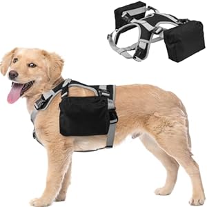 DORA BRIDAL Dog Backpack for Medium & Large Dogs, Dog Backpack Harness, Dogs Hiking Backpack with Side Pockets, Outdoors Pet Saddle for German Shepherd, Labrador (Black, Medium)
