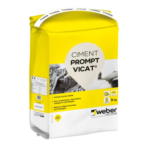 WEBER Ciment de prise rapide en milieux humides, 5kg, scellement urgent, réparations, rebouchage,...