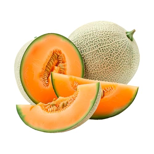 Caja de Melones cantalupo | 2 o 3 unidades. Entre 1kg y 1,5kg cada pieza. Fruta dulce cultivada de forma sostenible en Castellón (España), directo del agricultor (2 Unidades)