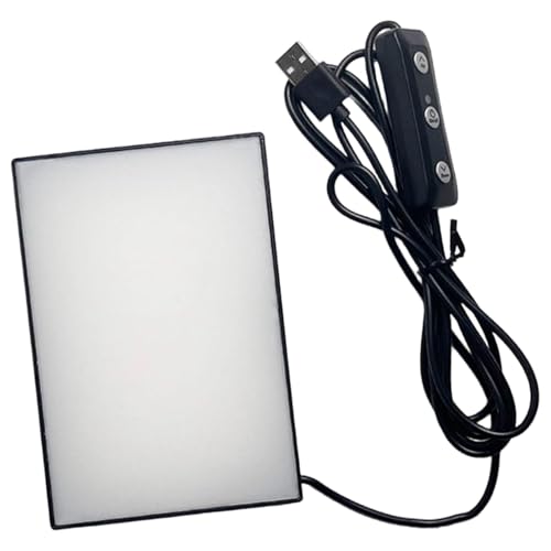 FytStycale Visor de Diapositivas, Accesorio para Entusiastas de Las Diapositivas Fotográficas, Película de Diapositivas, Color Preciso