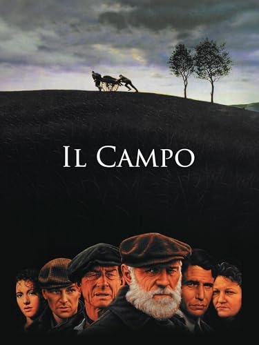  Il campo