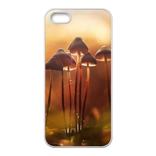 Happy Mushroom Cell Phone Case for Iphone 5s
