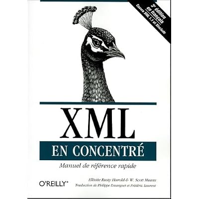 XML en concentr&eacute;