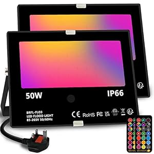 LED Floodlight Outdoor 50W, Colour Changing Flood Lights with Remote Control, Timing, 4 Modes, IP66 Waterproof, UK 3-Plug，2 Pack