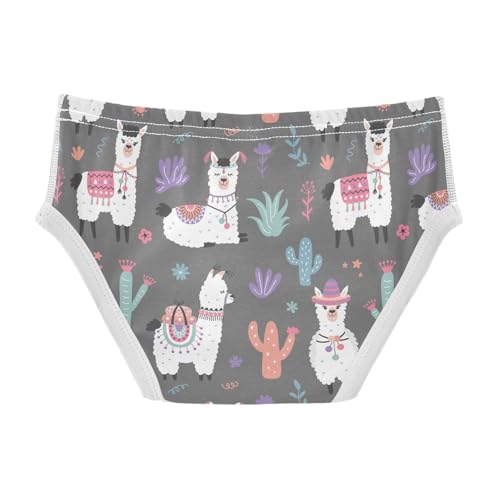 visesunny Boys Potty Training Underwear Llama with Hat Cactus Breathe Cotton Briefs Size 2T-8Y for Toddler2