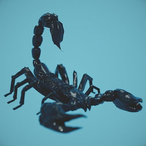 Orion's Belt Buckle by Atlanta Space Quartet on Amazon Music