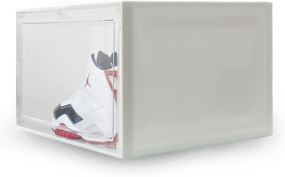 カナダ 1996年未流通 ルーニー 専用ケース カナダ 1996年未流通