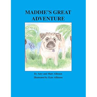 Maddie's Great Adventure