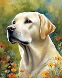 XTXGERL Oil Painting Kit for Beginner Digital Painting Labrador Retriever and Flowers Dog Paint by Numbers for Adults Beginner Arts Craft for Decoration, 40x50cm No Frame