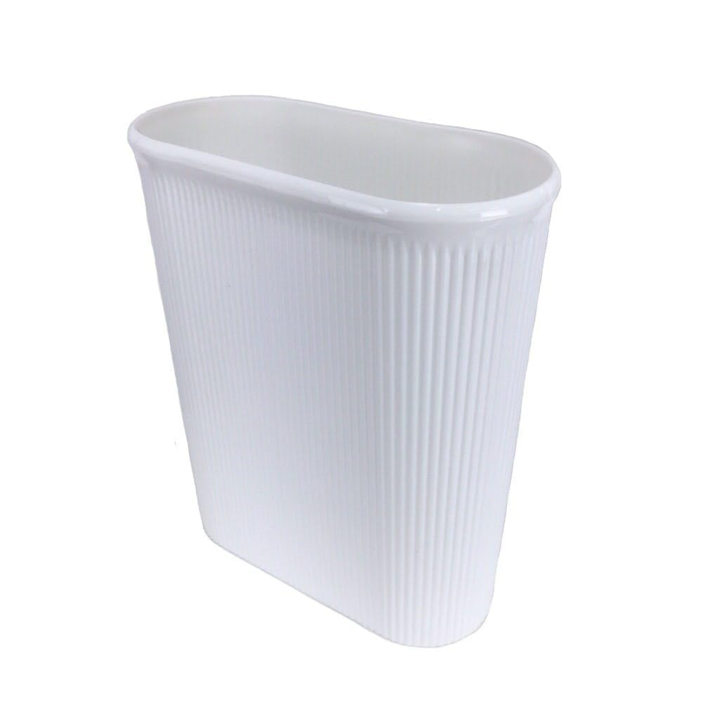 希少サイズ　完品　オウム貝の殻 大小2個セット　フタゴヤシ 希少サイズ 完品 オウム貝の殻 大小2個セット フタゴヤシ