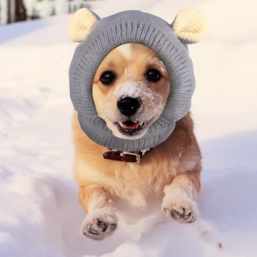 FainFun Hundemütze Winter für Mittelgroßen Hunde, Hunde Mütze, Hund Wintermütze, Einheitsgröße, Hält warm und reduziert Lärm, Wintermütze mit Hund (grau)