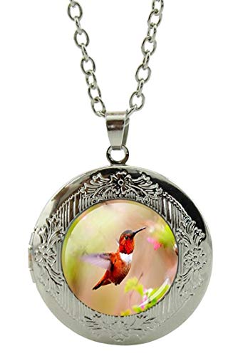 Blazing Autumn Bird Pendants Locket Necklaces Silver Color Women Long Chains Statement Necklaces Fashion Jewelry (Rufous Hummingbird)