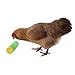 Ware Manufacturing Chicken Treat Roller