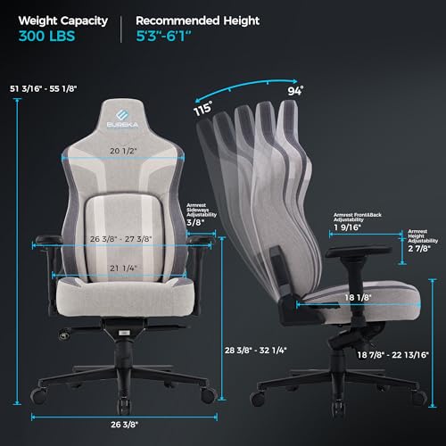 Image of EUREKA ERGONOMIC Gaming Chair GC08, Computer Gamer Chair with Lumbar Support, Ergonomic Gamer Chairs with 4.3in Thicken Seat Cushion, Racing Style Gaming Chairs for Adults, Grey