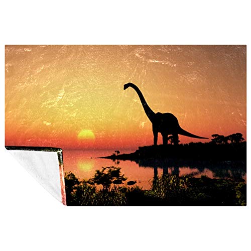 Couverture dinosaure douce et chaude pour lit enfant 150x100 cm