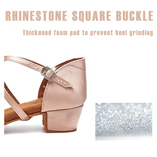 HIPPOSEUS Girls Silk Satin Latin Dance Shoes Low Heel Ballroom Salsa Dance Practice Performance Dancing Shoes,Model 2023