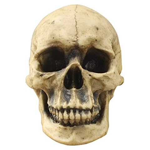 Wallcharmers Life Size Human Skull Cover
