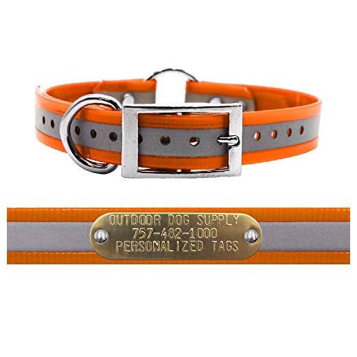 Outdoor Dog Supply's 1" Wide Reflective Ring in Center Dog Collar Strap with Custom Brass Name Plate (21" Long, Reflective Orange)