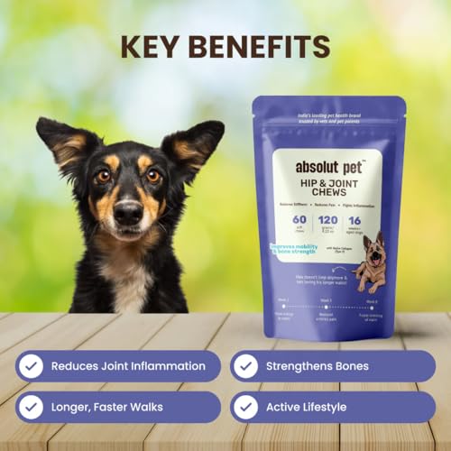 Image of Absolut Pet Hip and Joint-Supplements for Dogs Chews that Improve Mobility & Bone Strength with Glucosamine, Chondroitin & Collagen (60 Chews)