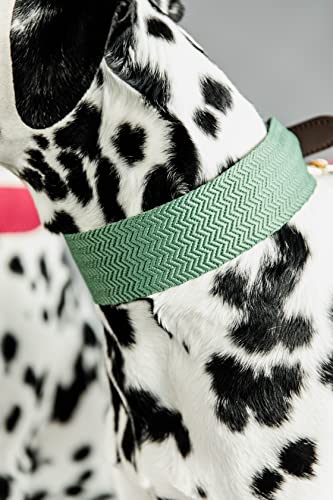 Collier pour chien jacquard XS cuir vert olive - 3