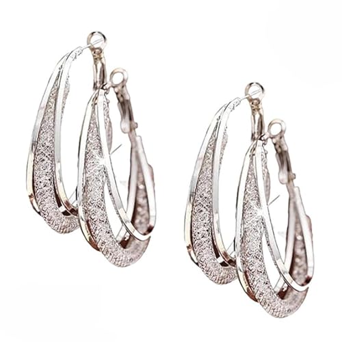 2 Pairs Lymphatic Drainage Slimming Hoop Earrings, Halolux Lymphvity Magnetotherapy Germanium Activity Hoop Acupuncture Therapy Earring Fashion Jewelry Gift For Women (Silver+Silver)