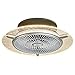 LHTCZZB LED 22 ‚‘Invisible Deckenventilatoren dreiblättrigen Innendeckenventilator,Wende wengue/Silber Innendeckenventilator Leuchten Restaurant Insel Kronleuchter Zubehör LED