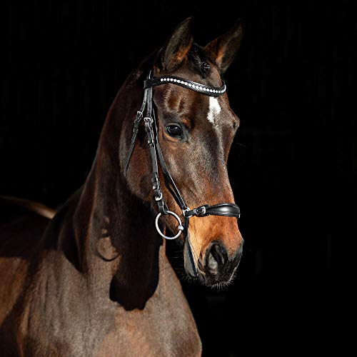 Bride remont en cuir Horze Bergen pour le confort du cheval