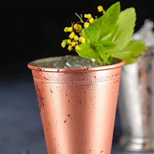 Tazas de copa de acero inoxidable de 400 ml para cócteles y menta en barras 4