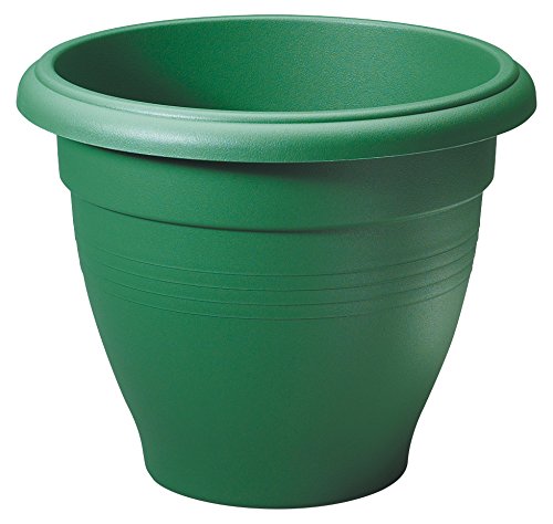 Stewart 2014019 35 cm Palladian Planter - Green