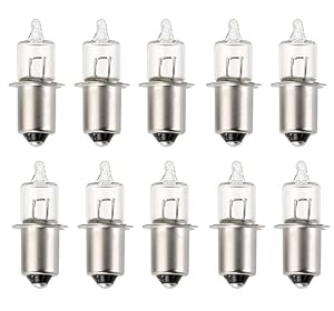 ShuoHui P13.5S 6V Halogenlampe (10)