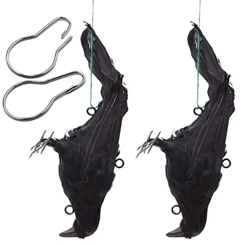Mootikar Get Rid of Crows 2 Pack Realistic Hanging Dead Crows Decoy Lifesize Extra Large Black Feathered Crow 12 inch Length