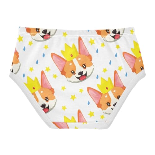 Cute Cartoon Corgi Dog Puppy Toddler Underwear Floral 2t Cotton Panties for Girl Animals Briefs Undies Kids2