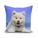 Stampato in Francia Spitz - Federa per cuscino, 40 x 40 cm, motivo: cane piccolo bianco di razza, cucciolo, per la spiaggia