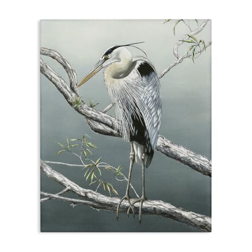 Stupell Industries 'Traditional Heron on Branch'| Canvas Art