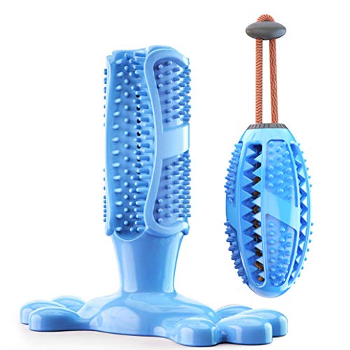 Brosse à Dents Chien, Ensemble de 2, Jouet à mâcher pour Animaux de Compagnie, Caoutchouc Naturel Non Toxique,Chien Soins dentaires Nettoyage des Dents (M, Bleu)