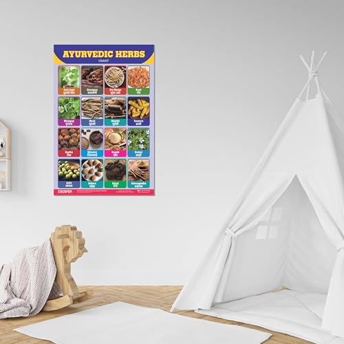 Image of ESCAPER Ayurvedic Herbs Educational Charts for Kids Learning (11.5 x 17.5 inches), Study Material, Learning Books, Posters